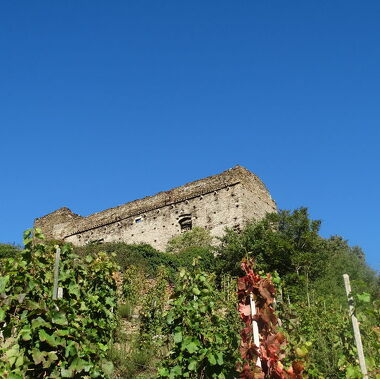 © Burg Archevêques - <em>(c) NCombe</em>