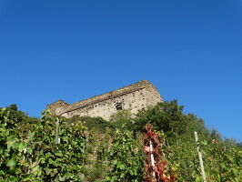 Burg Archevêques