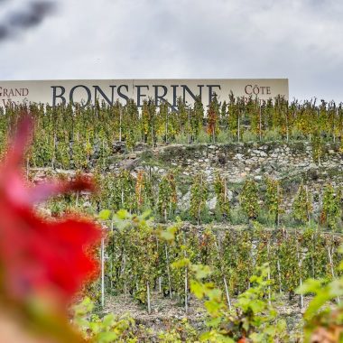 © Domaine de Bonserine - <em>Domaine de Bonserine</em>