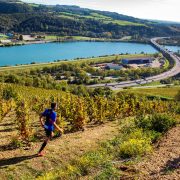 © Trail en Côte-Rôtie - <em>Declippeleir Jeanine</em>