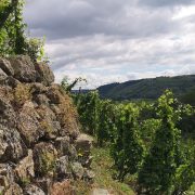 © Willkommen auf der Domaine Corps de Loup! - <em>DR</em>