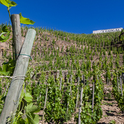 Domaine Guigal